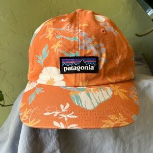 Patagonia P-6 Trad Cap; Spring 2022